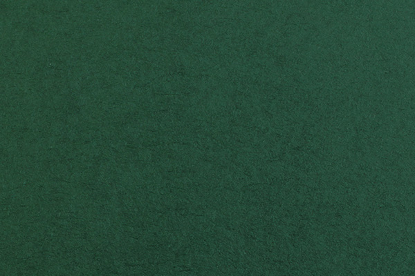 ビオトープGA 120kg フォレストグリーン